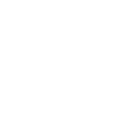 Excellence in Execution